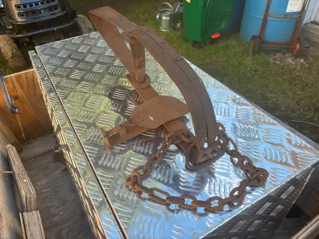 2 old Bear Traps.