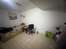 Private Room for Rent – Spacious 3-Bedroom Basement - Photo 2
