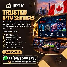 Most Trusted 4K T\/ Entertainment Services