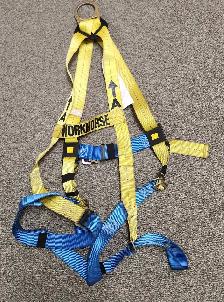 Roofing Harness: Exofit Nex, 3M Protecta, WorkHorse (4) - Photo 4