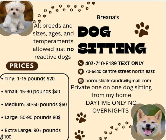 Daytime dog sitting