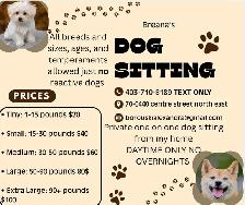Daytime dog sitting