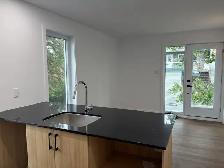 Magnifiques 3 1/2, Construction neuve! Vanier, Libre - Photo 8