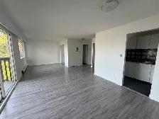 Just Renovated | Large Studio | Steps to Waterfront Park | $1649 - Photo 3