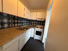 Just Renovated | Large Studio | Steps to Waterfront Park | $1649 - Photo 5