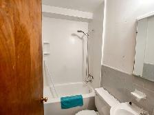 3 1/2 metro laurier , plateau montroyal - Photo 4