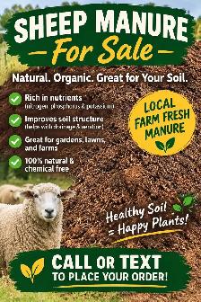 sheep manure for sale