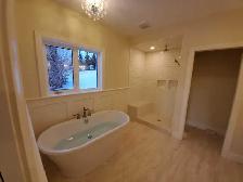 Willow Park Plumber