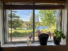 logement a louer 2 1/2, Ste Marie de Beauce, - Photo 5