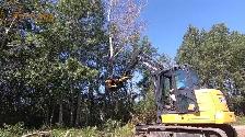 TMK Tree Shears, Grapple Saws, Multigrab grapples - Photo 6