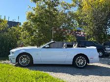 2014 Ford Mustang Premium Convertible ONLY 125,000KMS! - Photo 3