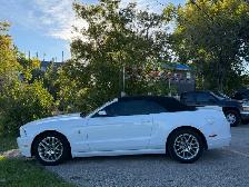 2014 Ford Mustang Premium Convertible ONLY 125,000KMS! - Photo 4