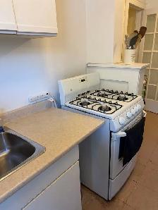 Large sunny Junior 1 bedroom  for rent (Yonge Eglinton) - Photo 5