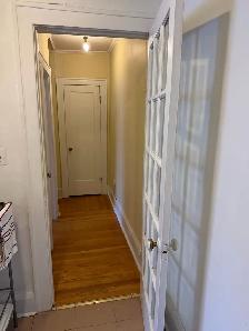 Large sunny Junior 1 bedroom  for rent (Yonge Eglinton) - Photo 6