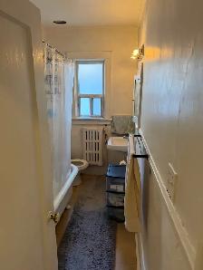 Large sunny Junior 1 bedroom  for rent (Yonge Eglinton) - Photo 9