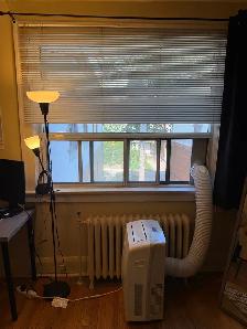 Large sunny Junior 1 bedroom  for rent (Yonge Eglinton) - Photo 10