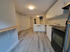 Renovated 3 Bedroom Student Rental–Near Wortley-$1800-Oct. 1st! - Photo 2