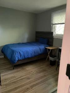 Bright Furnished Room - Female Student/Professional $875 - Photo 4