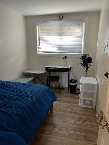 Bright Furnished Room - Female Student/Professional $875 - Photo 7