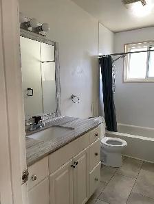 Bright Furnished Room - Female Student/Professional $875 - Photo 8
