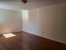 LARGE 1 Bedroom/Bal. Clean Quiet FREE PARKING $1479.   Elec. - Photo 6