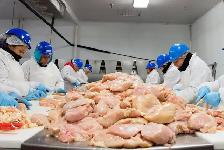 General labor - Meat Factory job in Whitchurch-Stouffville