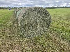 Hay for Sale