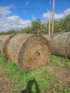 Hay for Sale - Photo 2
