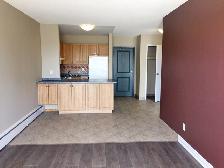 Baseline Court - 1 Bedroom for Rent in Ottawa - Photo 6