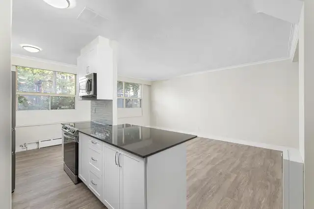 Studio Apartment for Rent - 115 Dowling Avenue