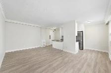 Studio Apartment for Rent - 115 Dowling Avenue - Photo 13