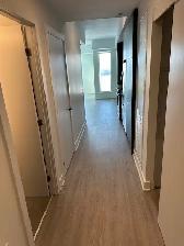 1 Bedroom Unit Available November 1st - First Month's Rent Free! - Photo 2