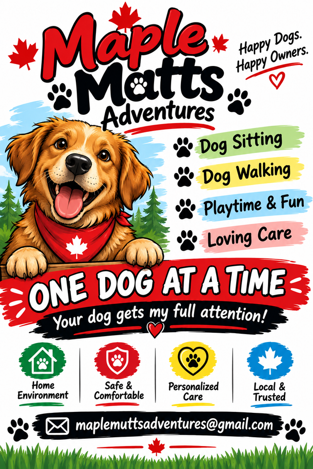 REGULAR WEEKDAY DOG SITTING – ONE DOG AT A TIME