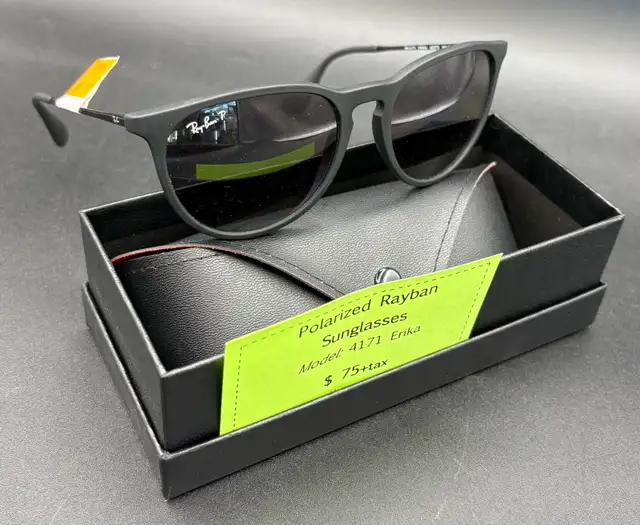 Polarized Ray Ban 4171 Erika Sunglasses