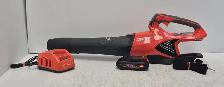 (N9749881) Echo DPB-2500 Leaf Blower