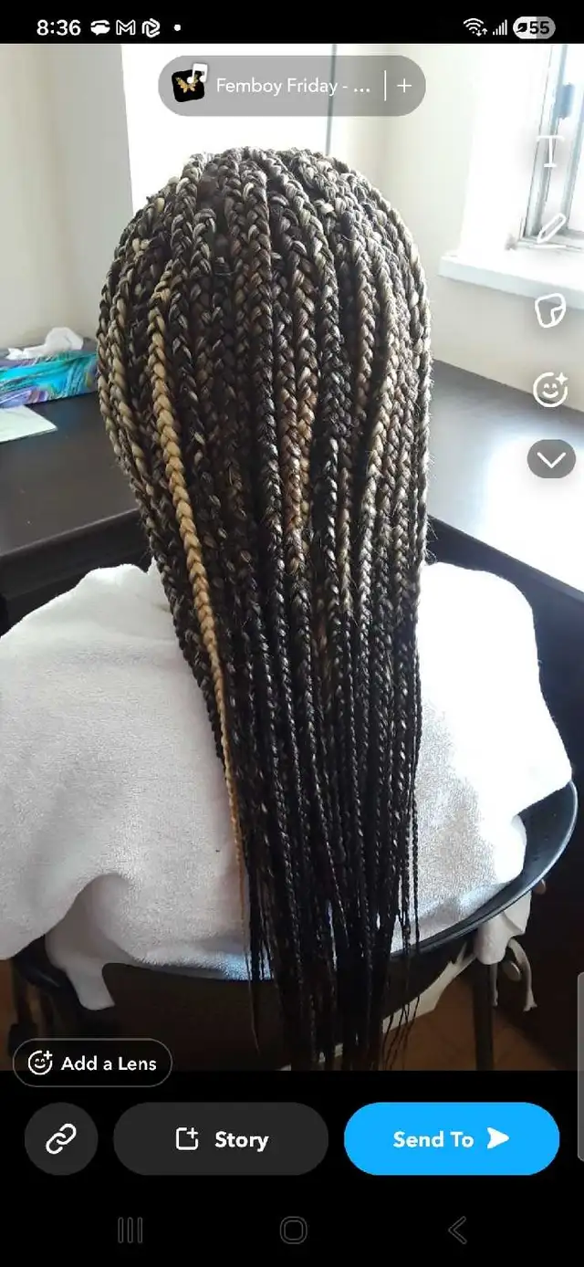 Neat Braids