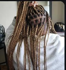 Neat Braids - Photo 4