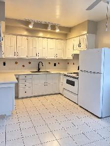 Massive 2-Bedroom Apartment   Private Deck | Downtown Toronto - Photo 4
