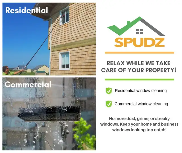 Window Cleaning