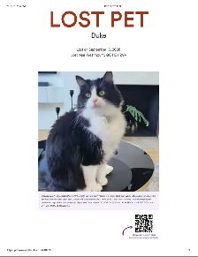 MISSING SINCE 09/18/2026 AT 10:00am