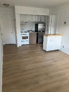 2 1/2 RÉNOVÉ et TOUT INCLUS à Ste-Foy Libre dès maintenant - Photo 2