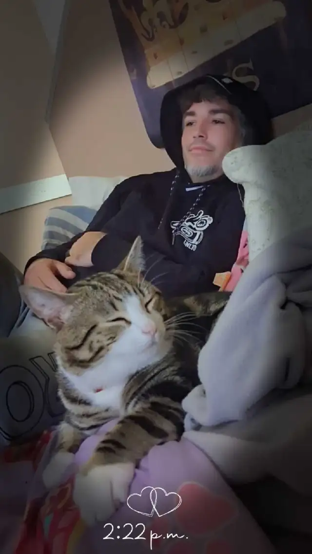 Looking for a female kitten to bring into my loving home.