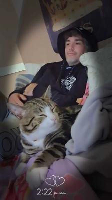 Looking for a female kitten to bring into my loving home.
