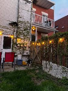Lease Transfer Oct 1 - Verdun 6 1/2 - Dog-friendly backyard