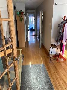 Lease Transfer Oct 1 - Verdun 6 1/2 - Dog-friendly backyard - Photo 4