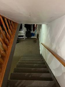 Lease Transfer Oct 1 - Verdun 6 1/2 - Dog-friendly backyard - Photo 7