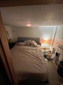 Lease Transfer Oct 1 - Verdun 6 1/2 - Dog-friendly backyard - Photo 8