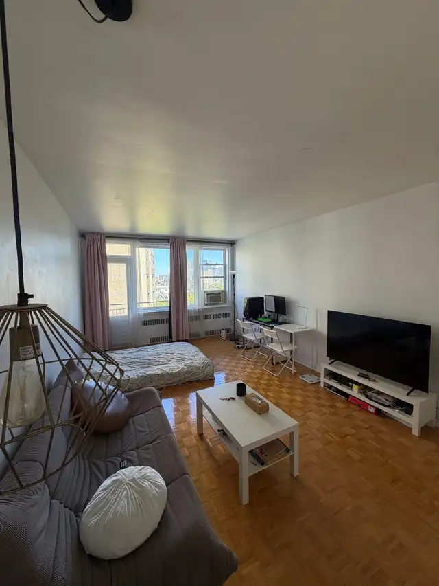 Large studio 1bath apartment
