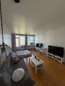 Large studio 1bath apartment
