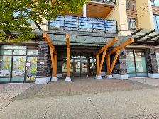 Two bedrooms Suite in Fraser Heights for Rent